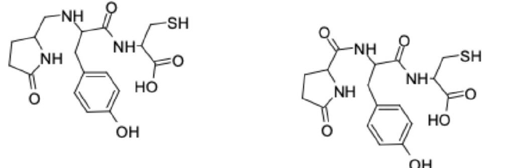 psi-pseudo peptide